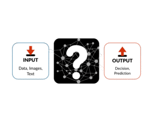 Black Box AI